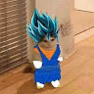 Meet your Posher, Nathan